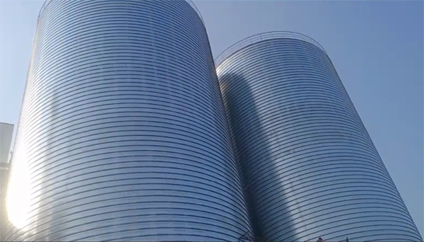 孝南2座混凝土高架卷板仓